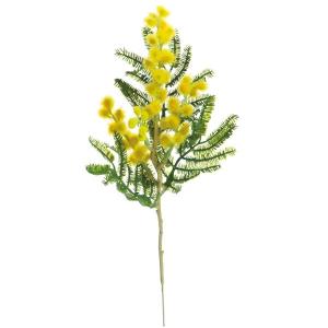 ミモザ 花 ガーデニング の商品一覧 通販 Yahoo ショッピング