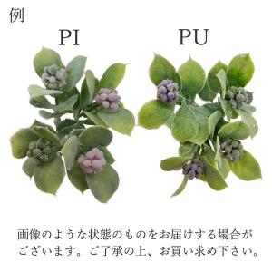 造花 グリーン 実 とりよせ品 ☆フロックベリ...の詳細画像2