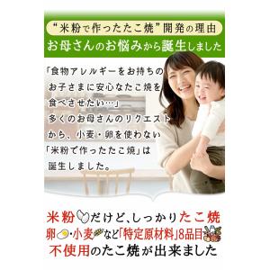 米粉でつくったたこ焼 15個入 送料無料 たこ...の詳細画像2
