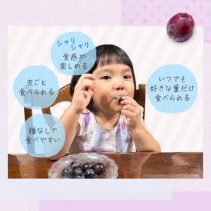 八ちゃん堂 冷凍 巨峰 400g ブドウ ぶど...の詳細画像3