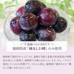 八ちゃん堂 冷凍 巨峰 400g ブドウ ぶど...の詳細画像5