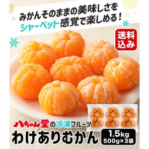 有)南四国ファーム 粒楽みかん（冷凍みかん）500g≪熨斗対応不可