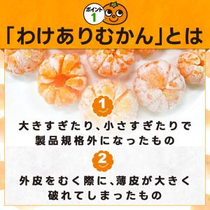 ＼たっぷり1.5kg/ わけありむかん 500...の詳細画像2