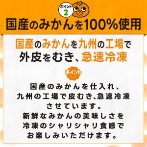 ＼たっぷり1.5kg/ わけありむかん 500...の詳細画像5