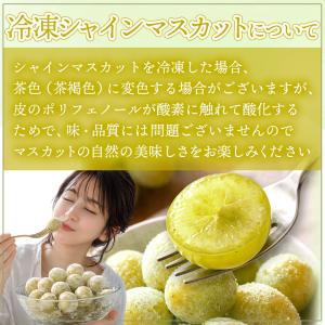 冷凍 シャインマスカット 400g マスカット...の詳細画像2