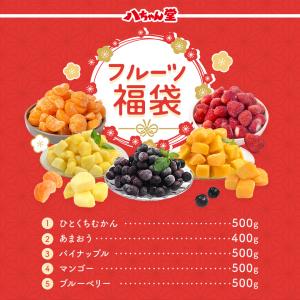 【ギフト対応】 冷凍フルーツ福袋 送料無料 み...の詳細画像2
