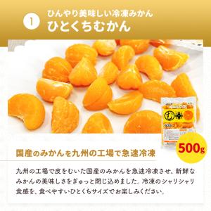 【ギフト対応】 冷凍フルーツ福袋 送料無料 み...の詳細画像3