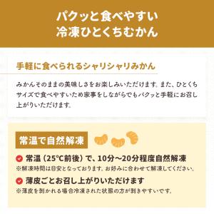 【ギフト対応】 冷凍フルーツ福袋 送料無料 み...の詳細画像4