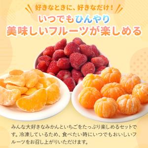 送料無料 冷凍フルーツ3種 1.2kg 冷凍 ...の詳細画像1