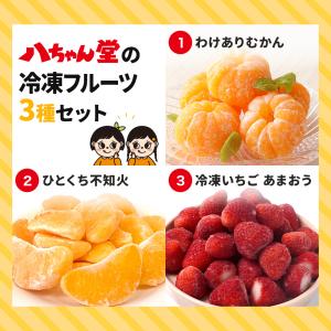 送料無料 冷凍フルーツ3種 1.2kg 冷凍 ...の詳細画像2