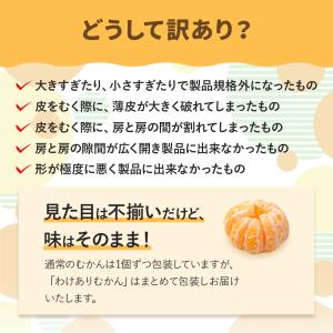 送料無料 冷凍フルーツ3種 1.2kg 冷凍 ...の詳細画像4