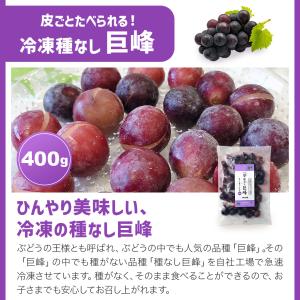 冷凍フルーツWセット 2種セット 800g 送...の詳細画像5