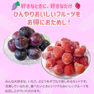 冷凍フルーツWセット 2種セット 800g 送...の詳細画像1