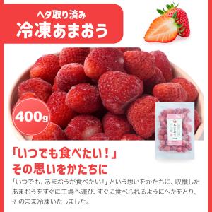 冷凍フルーツWセット 2種セット 800g 送...の詳細画像2