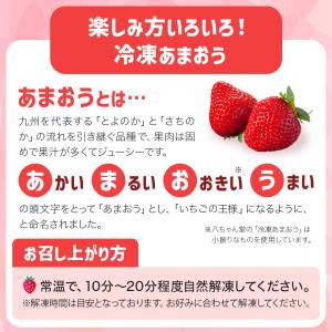 冷凍フルーツWセット 2種セット 800g 送...の詳細画像3