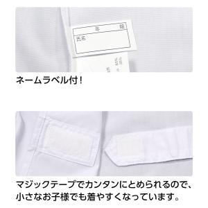 【メール便発送】給食衣 3点セット 2号〜Lサ...の詳細画像5