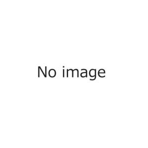 [ZRYZZNBR46MSZ] クリナップ レンジフード部材 横幕板 高さ50cm用 シルバー【送料無料】｜y-jyupro