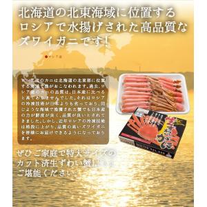 かに 蟹 ズワイガニ カット済 生ずわい蟹 総...の詳細画像1