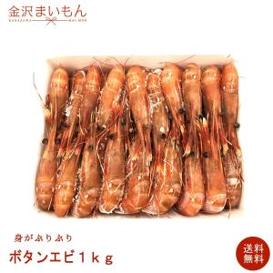 お刺身　ぷりぷり　カナダ産　ぼたんえび　1kg　30尾前後　ボタンエビ
