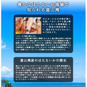 ホタルイカ ホタルイカ沖漬け 沖漬け ほたるい...の詳細画像2