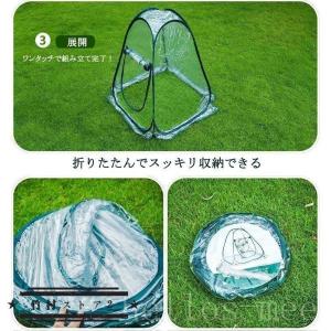 ビニール温室ハウスフラワースタンド用ミニガーデ...の詳細画像2