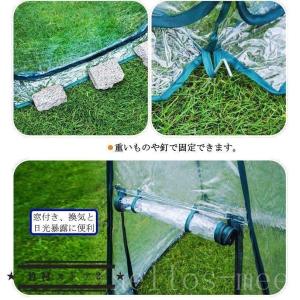 ビニール温室ハウスフラワースタンド用ミニガーデ...の詳細画像3