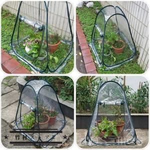 ビニール温室ハウスフラワースタンド用ミニガーデ...の詳細画像4