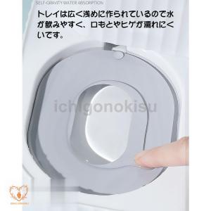 自動給餌器 猫 犬 給餌器 自動給水器 ペット...の詳細画像5
