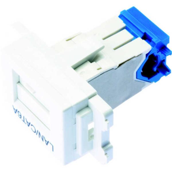 パンドウイット　カテゴリ6AJISプレート用ジャックキット 白　JAOSSP6ATGMW