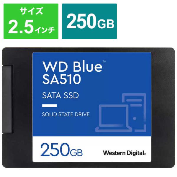 WESTERN DIGITAL　WD Blue SA510 SATA SSD [2.5インチ]　WD...