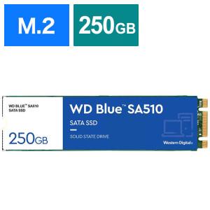 WESTERN DIGITAL WD Blue SA510 SATA M.2 SSD WDS250G3B0B