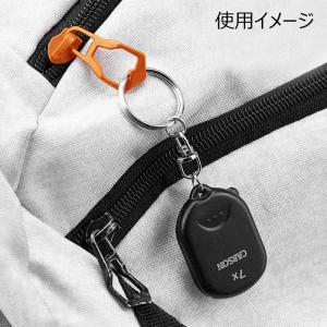 CARSON 7倍 ポップアップ キーチェーン...の詳細画像3