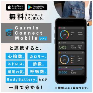 GARMIN vivosmart 5 Mint...の詳細画像5