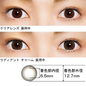 ジョンソン&ジョンソン (度あり/-4.25)...の詳細画像2