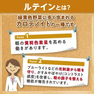 DHC DHC(ディーエイチシー) 60日分ル...の詳細画像5