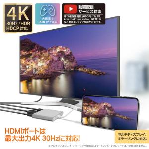 フリーダム USB Type-C HDMI変換...の詳細画像3