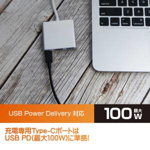 フリーダム USB Type-C HDMI変換...の詳細画像4