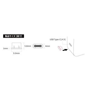フリーダム USB-C(メス)防塵キャップ ク...の詳細画像3