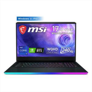 MSI ゲーミングノートパソコン チタニウムブルー 17.3型/Windows11 Pro/intel Core i9/メモリ:32GB/SSD:1TB GE7612UH219JP