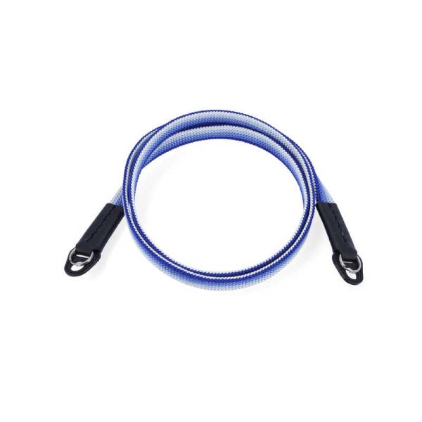 アルティザン＆アーティスト　シルクコードストラップ 綾竹(あやたけ)組紐 スタンダードレングス AR...