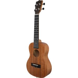 SYAIRI コンサートウクレレ YUC03MTSの買取情報