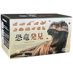 NOL TKZ-39-01 恐竜発見の高価買取価格