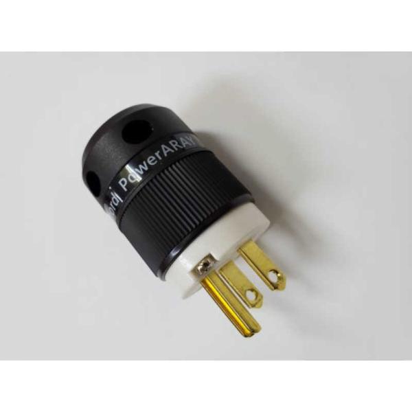 CHORD　ノイズポンププラグ 3P　PowerARAY-3P