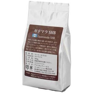 アメリカンディールス コーヒー生豆 ガテマラSHB ガテマラSHB