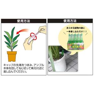 サンアンドホープ 活力液 33mlx21Pの詳細画像2