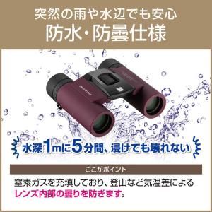 OMSYSTEM 双眼鏡 8x25WP II ...の詳細画像3