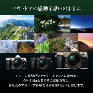 OMSYSTEM OM-5 Mark II 1...の詳細画像5