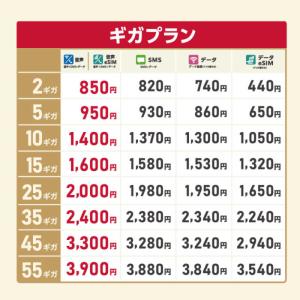 IIJ 【無料Wi-Fi付】BIC SIM ギ...の詳細画像1