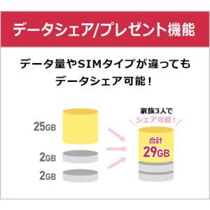 IIJ 【無料Wi-Fi付】BIC SIM ギ...の詳細画像2