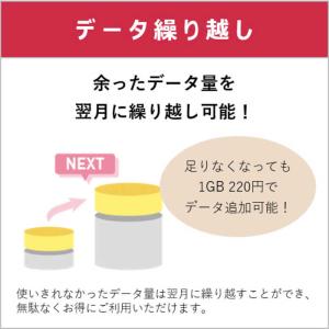 IIJ 【無料Wi-Fi付】BIC SIM ギ...の詳細画像3